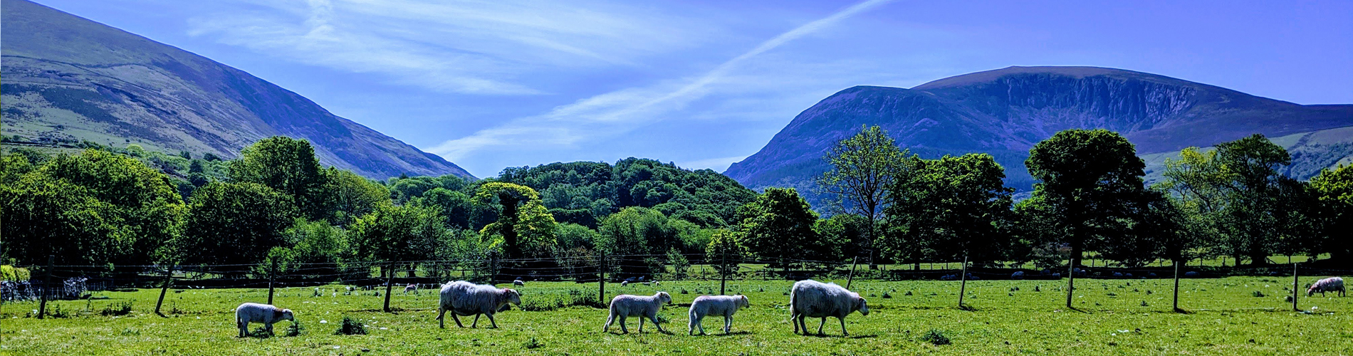 Tyn yr Onnen farm